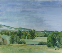 Landscape XX 200x172