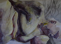 Watercolour 80 200x146